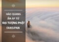 HÀO QUANG ẤM ÁP TỪ ĐẠI TƯỢNG PHẬT TRÊN ĐỈNH THIÊNG