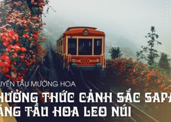 Chuyến tàu mường hoa | Thưởng thức cảnh sắc Sapa bằng tàu hỏa leo núi