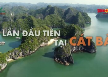 Chờ đón show diễn quốc tế tại Cát Bà | SYMPHONY OF THE GREEN ISLAND
